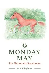 Book cover of Monday May by Ro Collingborn
