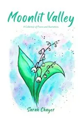 Book cover of Moonlit Valley by Sarah Chayer