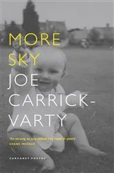 Book cover of More Sky by Joe Carrick-Varty
