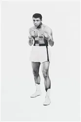 Book cover of More Than a Champion by Jan Philipp Reemtsma
