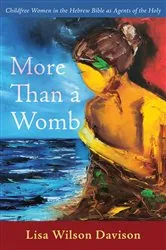 Book cover of More Than a Womb by Lisa Wilson Davison