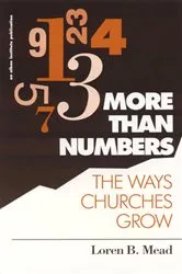 Book cover of More Than Numbers by Loren B. Mead
