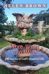 Book cover of More Water into Wine (2nd ed.) by Helen Brown