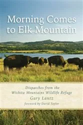 Book cover of Morning Comes to Elk Mountain by Gary Lantz