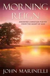 Book cover of Morning Reign by John Marinelli
