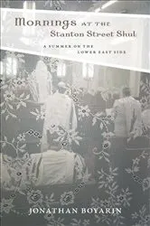 Book cover of Mornings at the Stanton Street Shul by Jonathan Boyarin