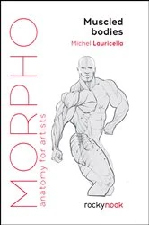 Book cover of Morpho: Muscled Bodies by Michel Lauricella