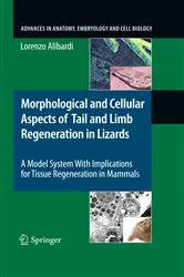 Book cover of Morphological and Cellular Aspects of Tail and Limb Regeneration in Lizards by Lorenzo Alibardi