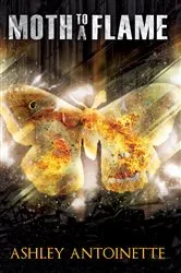 Book cover of Moth to a Flame by Unknown
