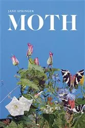 Book cover of Moth by Matthew Gandy