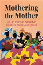 Book cover of Mothering the Mother by Shafia Monroe