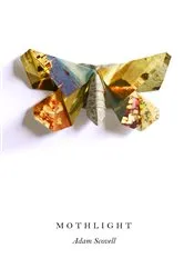 Book cover of Mothlight by Unknown