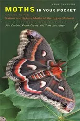 Book cover of Moths in Your Pocket by Jim Durbin