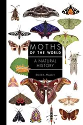 Book cover of Moths of the World by David Wagner