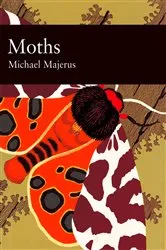 Book cover of Moths by Jane Hennigan