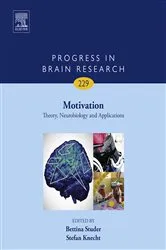 Book cover of Motivation by Bettina Studer