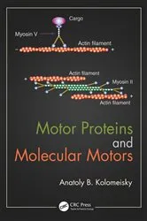 Book cover of Motor Proteins and Molecular Motors by Anatoly B. Kolomeisky