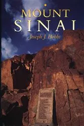 Book cover of Mount Sinai by Ann M. Becker