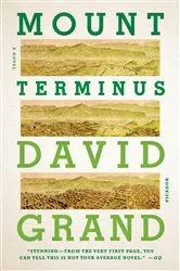 Book cover of Mount Terminus by David Grand