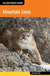 Book cover of Mountain Lions by Jack Ballard