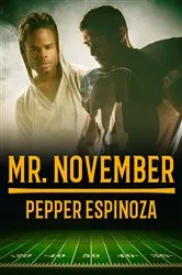 Book cover of Mr. November by Lori Foster