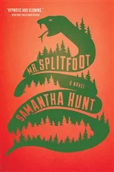 Book cover of Mr. Splitfoot by Samantha Hunt