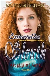 Book cover of Más allá del portal by Eileen Sheehan