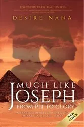 Book cover of Much Like Joseph by Desire Nana
