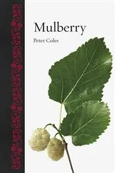 Book cover of Mulberry by Peter Coles