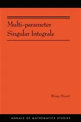 Book cover of Multi-parameter Singular Integrals, Volume I by Brian Street