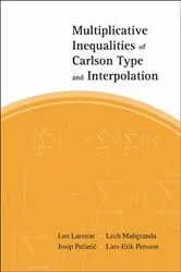 Book cover of Multiplicative Inequalities Of Carlson Type And Interpolation by Leo Larsson