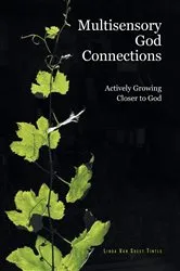 Book cover of Multisensory God Connections by Linda Van Soest Tintle