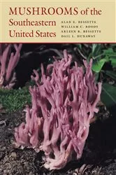 Book cover of Mushrooms of the Southeastern United States by Alan Bessette