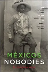 Book cover of México's Nobodies by B. Christine Arce