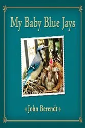 Book cover of My Baby Blue Jays by John Berendt