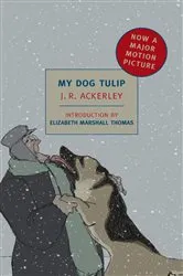 Book cover of My Dog Tulip by J. R. Ackerley