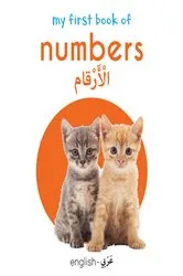 Book cover of My First Book of Numbers (English-Arabic) by Wonder House Books