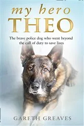 Book cover of My Hero Theo by Gareth Greaves