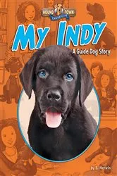 Book cover of My Indy by E. Merwin