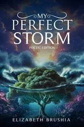 Book cover of MY PERFECT STORM by ELIZABETH BRUSHIA