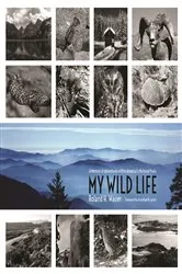 Book cover of My Wild Life by Roland H. Wauer