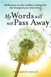 Book cover of My Words Will Not Pass Away by Martin Hogan