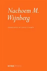 Book cover of Nachoem M. Wijnberg by Nachoem M. Wijnberg