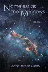 Book cover of Nameless as the Minnows by Connie Jordan Green