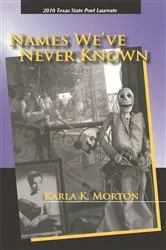 Book cover of Names We've Never Known by karla k. morton
