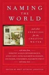 Book cover of Naming the World by Bret Anthony Johnston