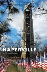 Book cover of Naperville by Jo Fredell Higgins