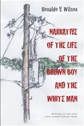 Book cover of Narrative of the Life of the Brown Boy and the White Man by Ronaldo Wilson