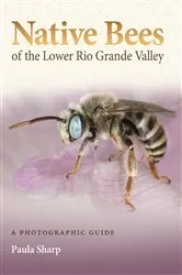 Book cover of Native Bees of the Lower Rio Grande Valley by Paula Sharp