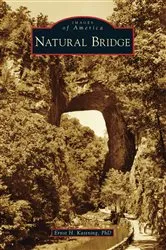 Book cover of Natural Bridge by Unknown